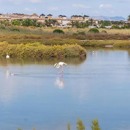 Huge Beachfront For Relaxing * Santa Pola